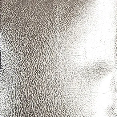 Buca Pocket Pewter Pearl