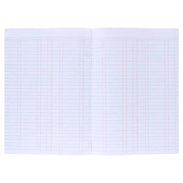 Business Studies Book 3: Ledger - 40 Page