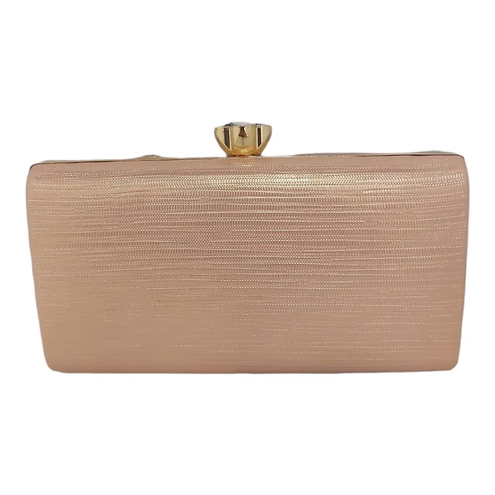 Champagne Clutch Bag