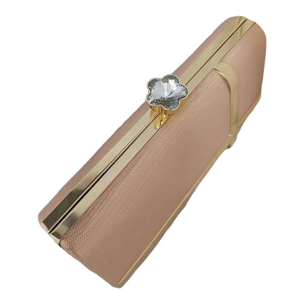 Champagne Clutch Bag