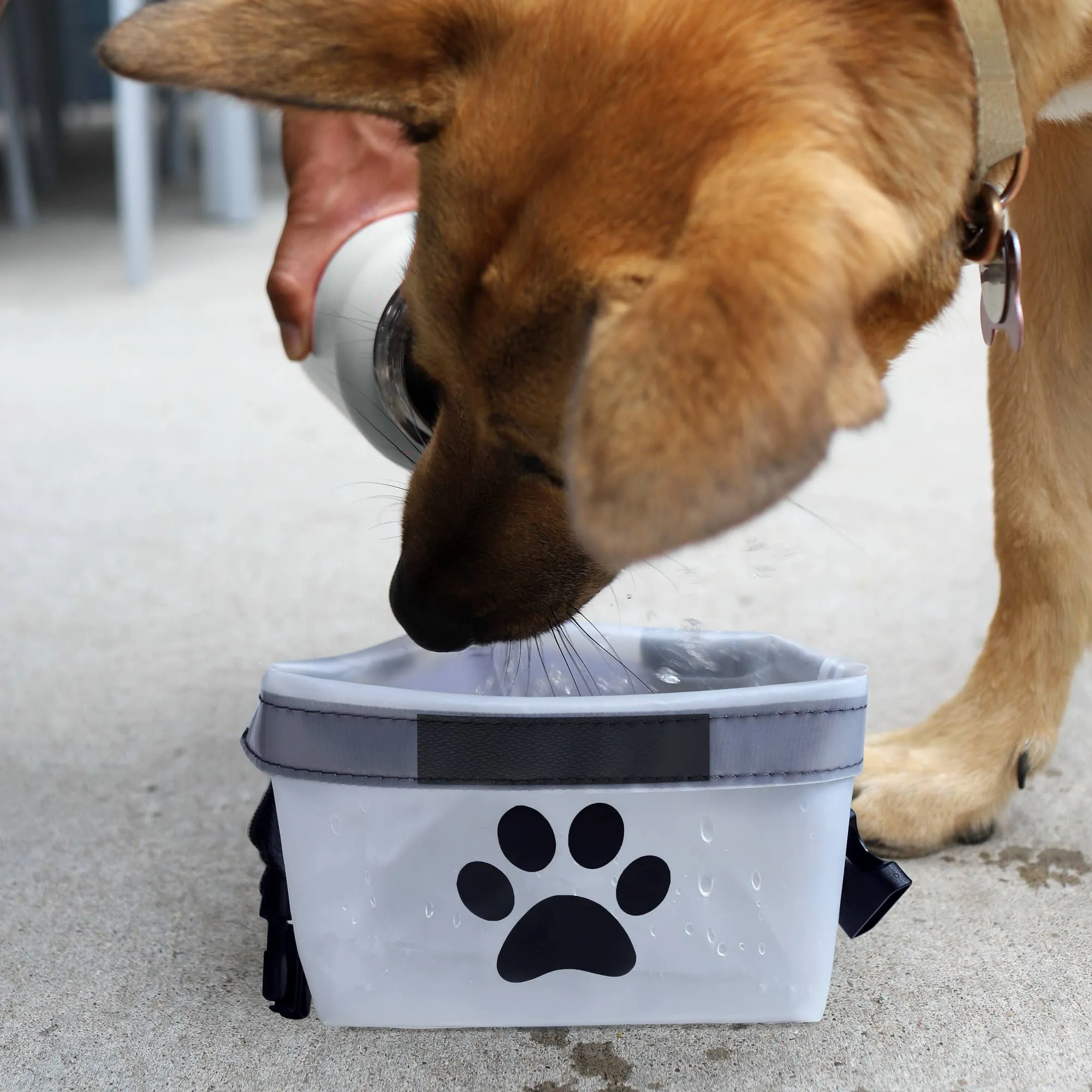 Clip N Go Pet Bowl Bag 2-pack