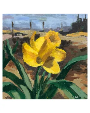 Daffodil