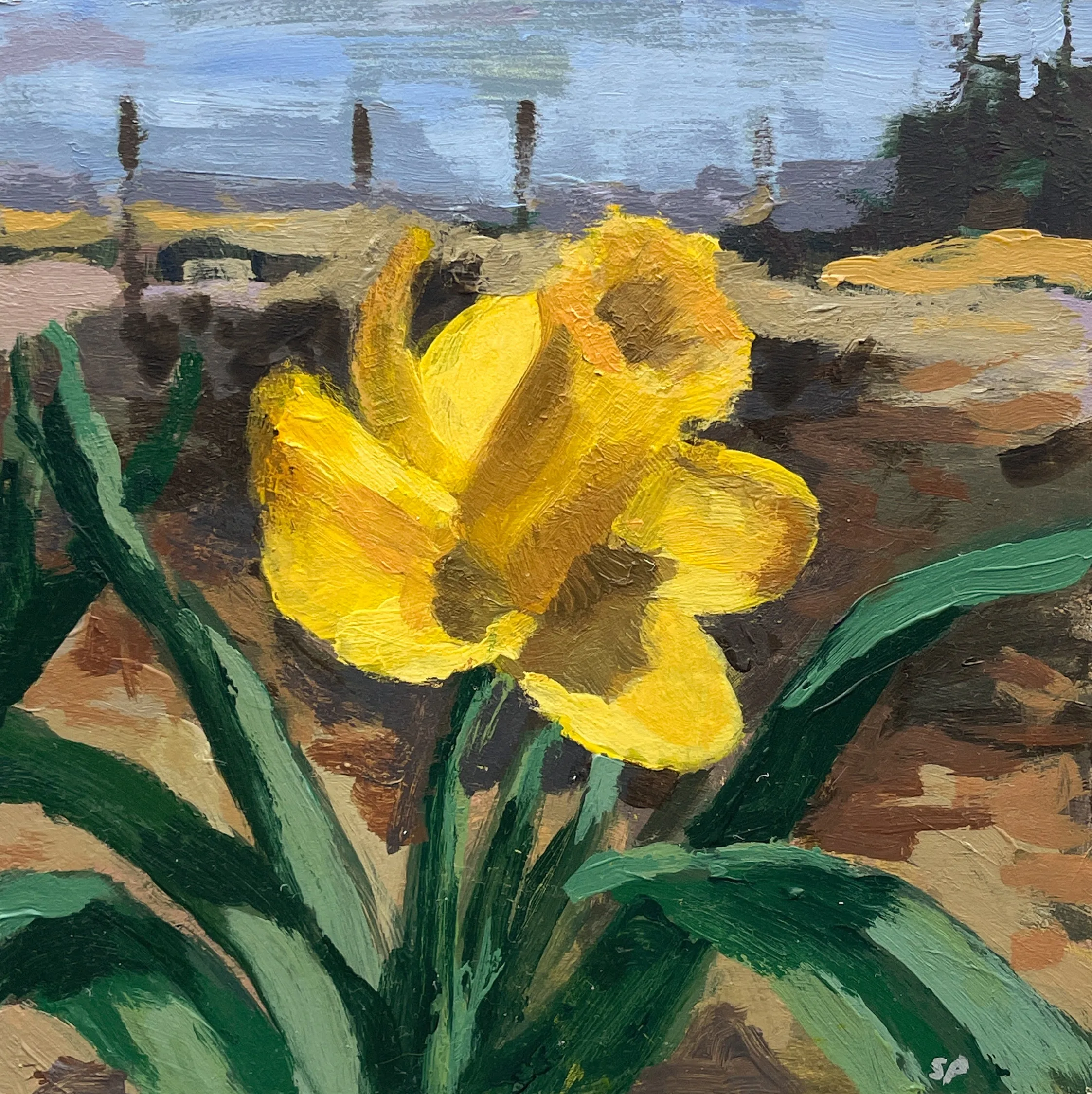 Daffodil