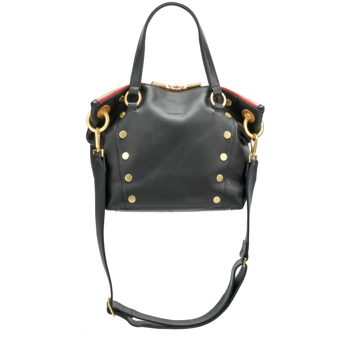 Daniel | Investor Collection/Brushed Gold | Med