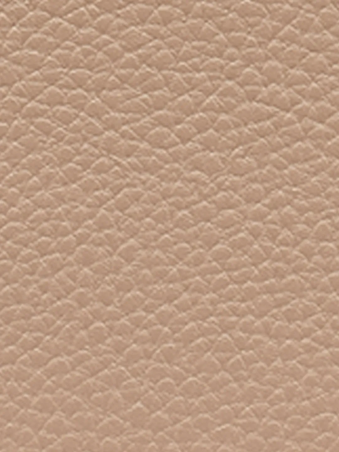 DKNY Women Beige Solid Wallet