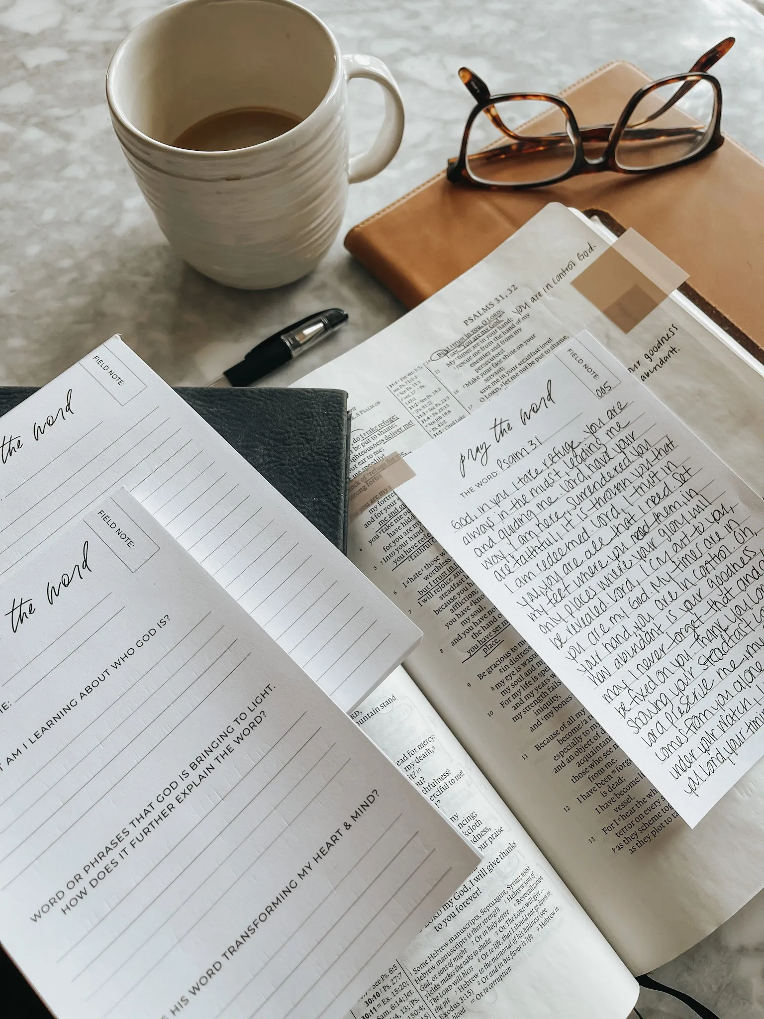 Explore The Word Field Notes