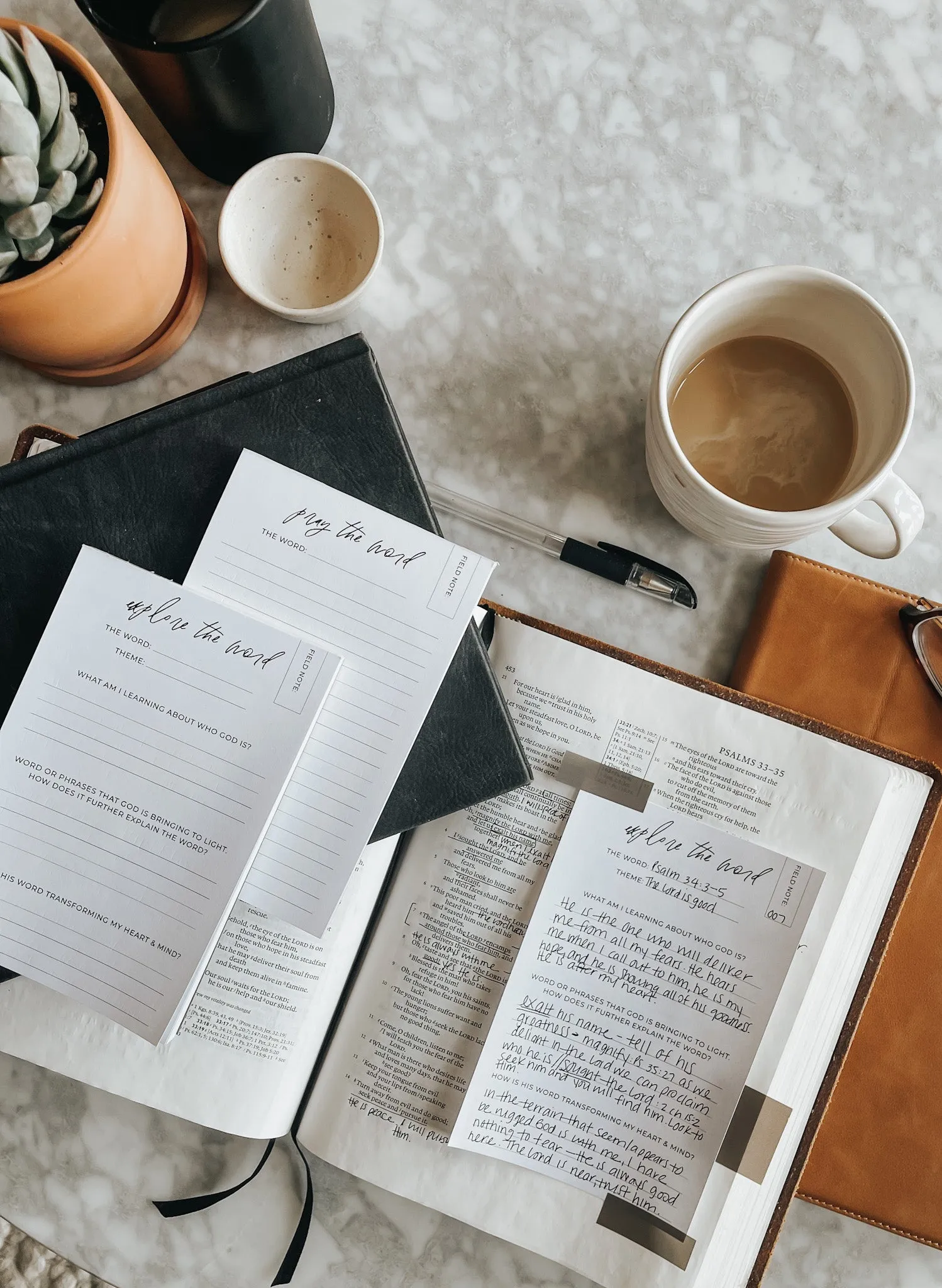 Explore The Word Field Notes