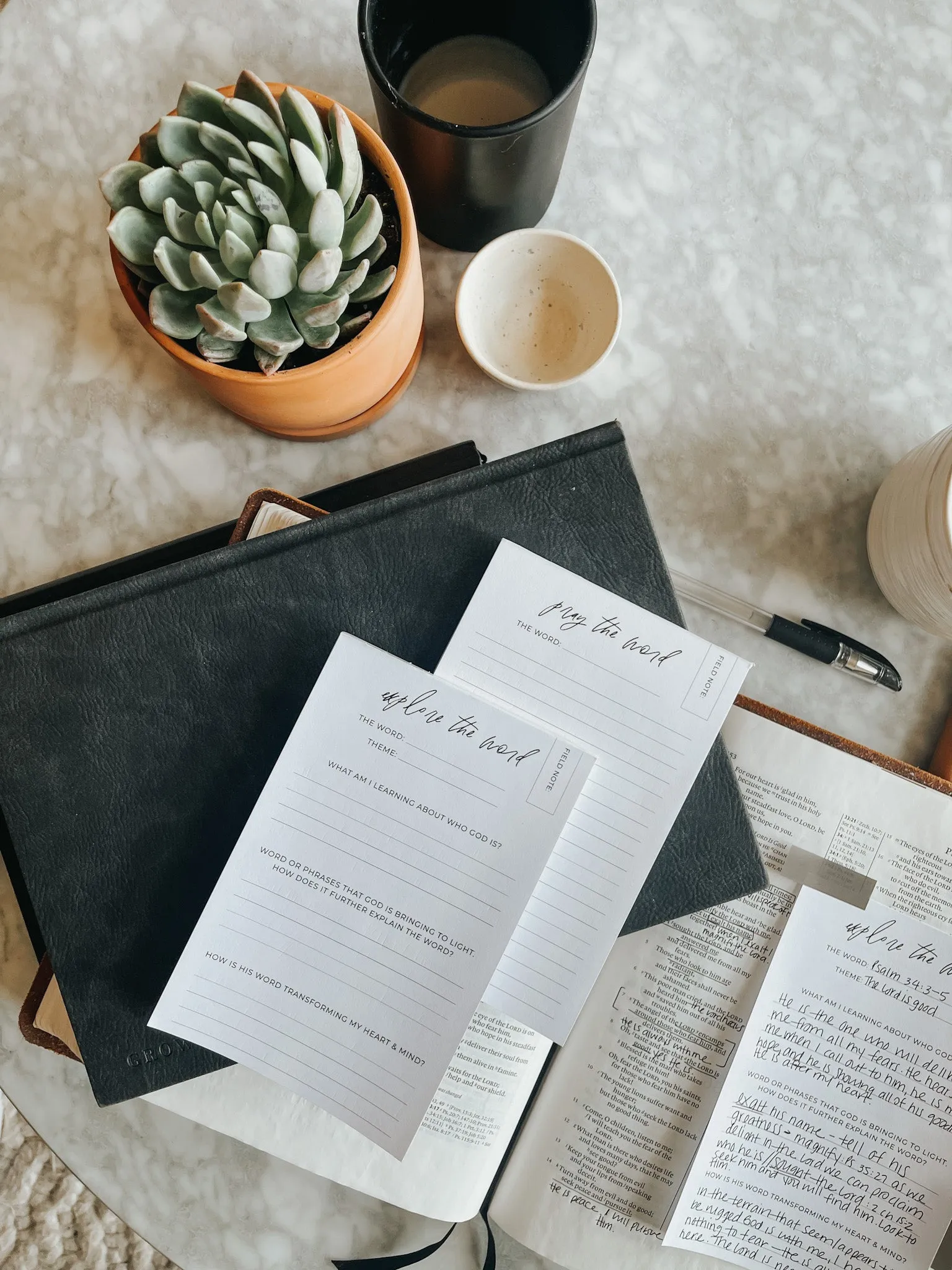 Explore The Word Field Notes