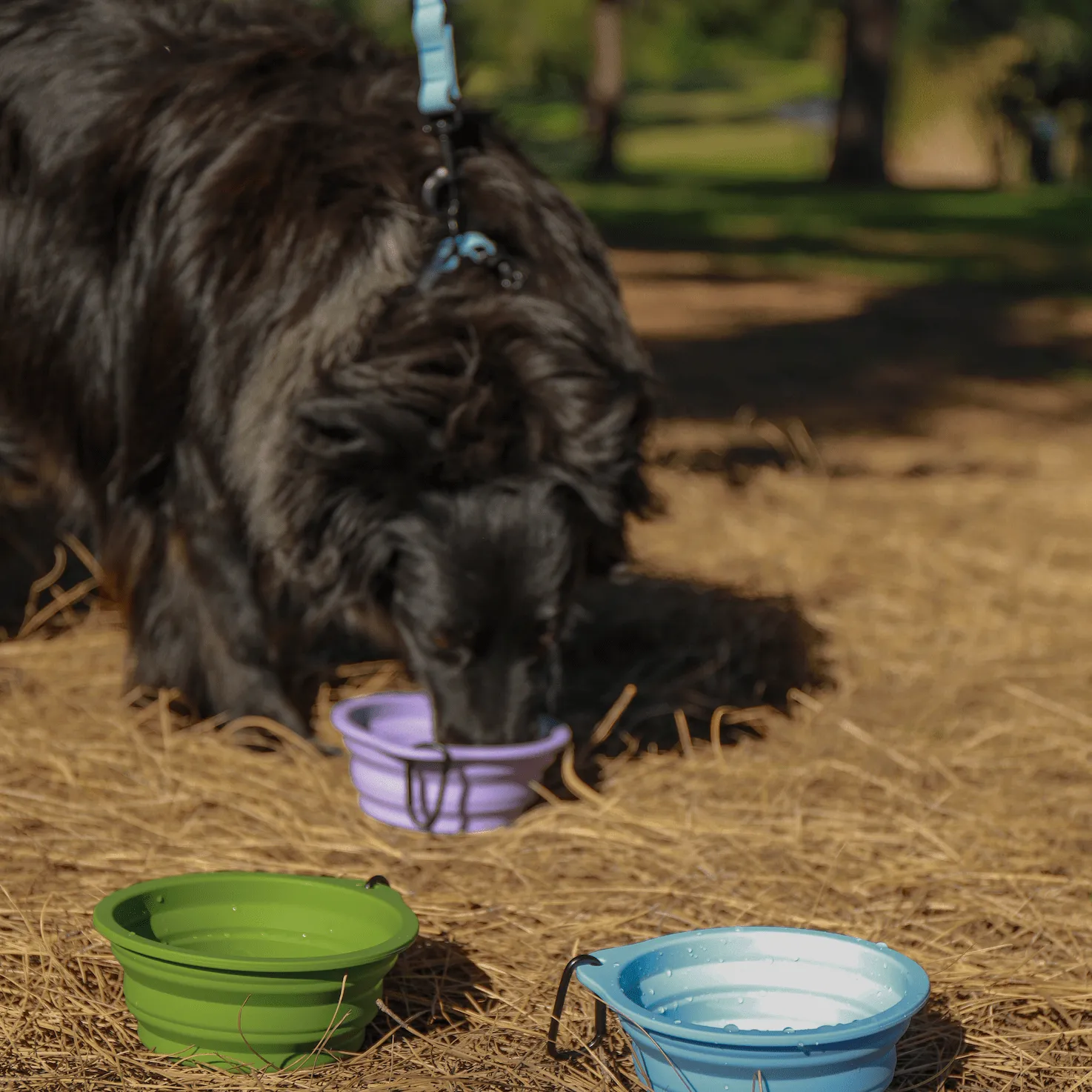 Heather Purple Silicone Travel Bowl