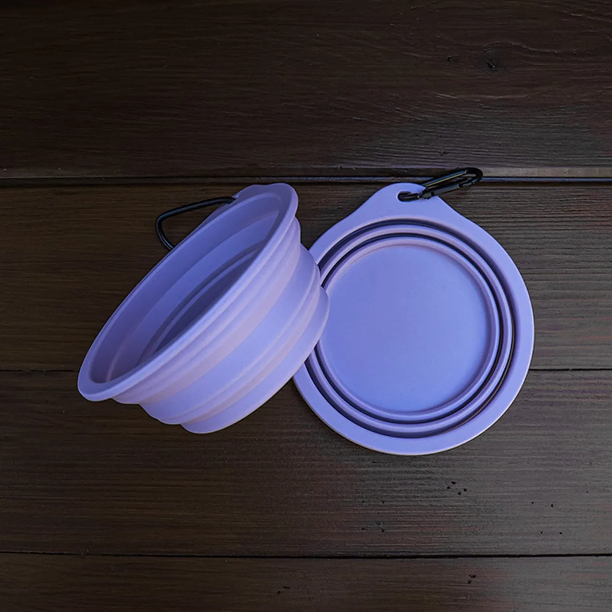 Heather Purple Silicone Travel Bowl