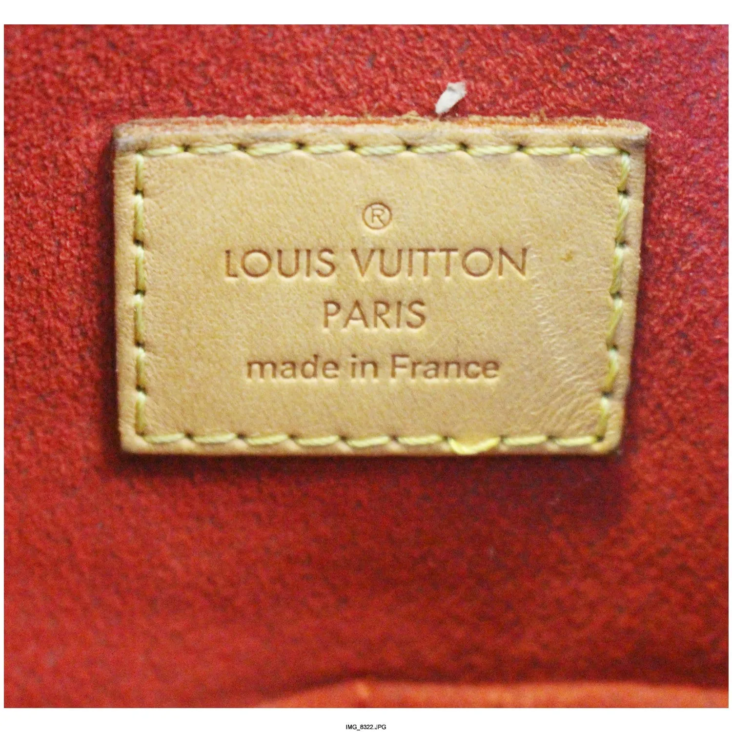 LOUIS VUITTON Gaia Monogram Canvas Shoulder Handbag