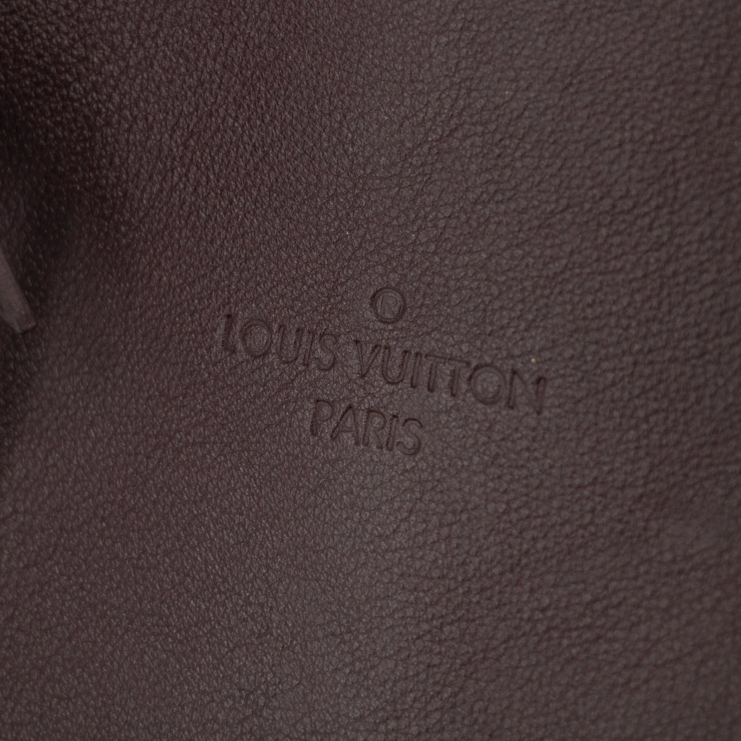 Louis Vuitton Purple Leather Rock it Handbag -#2548