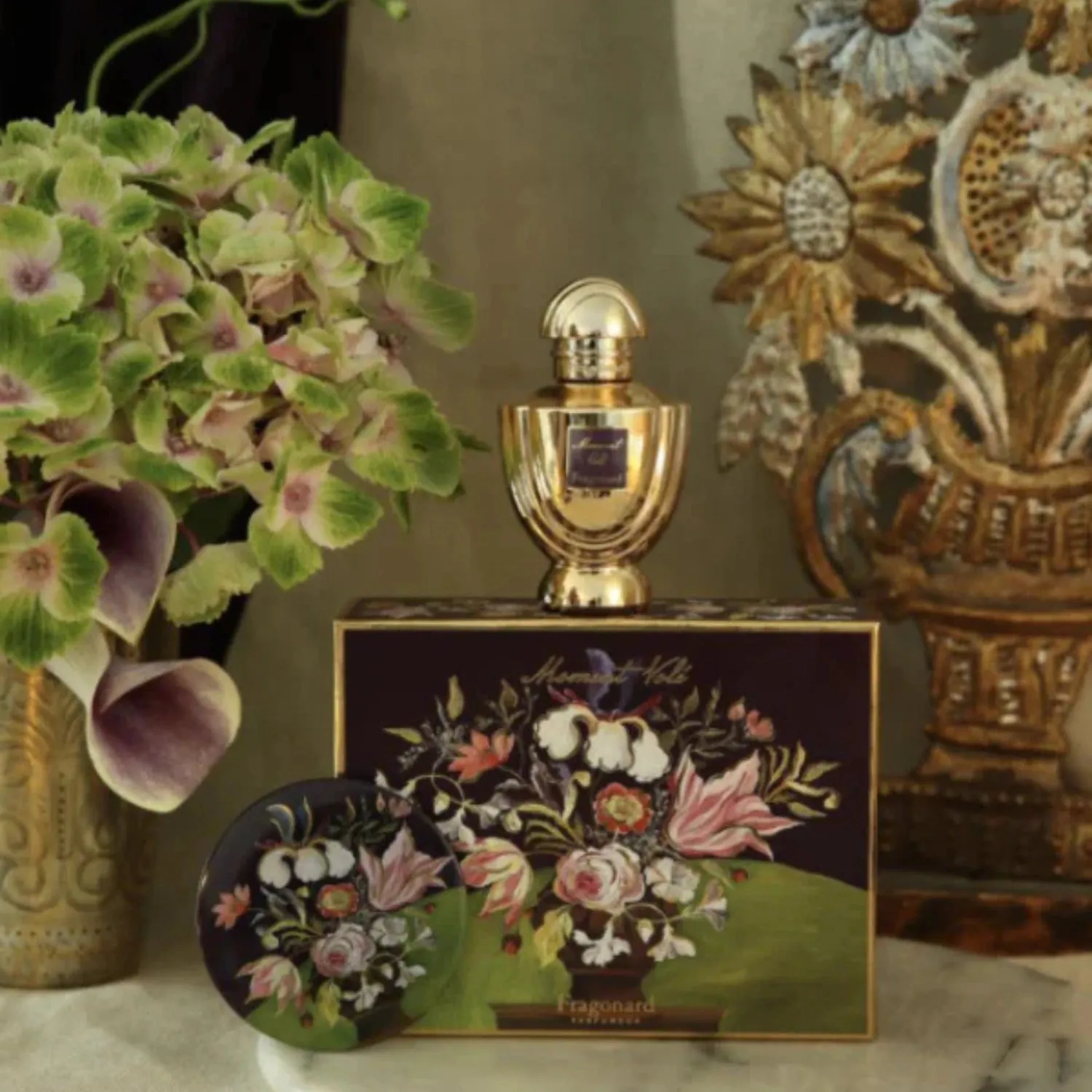 Moment Vole Gift Set