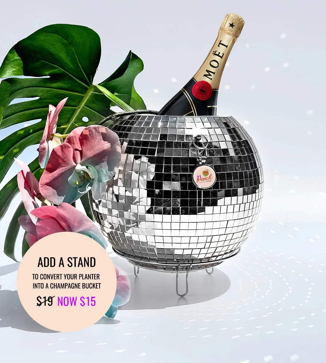 Peach Pops Party in your Plants Disco Hanging Plant Pot