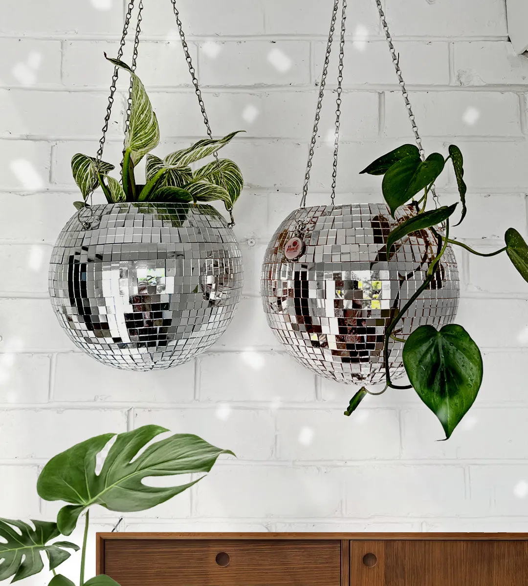 Peach Pops Party in your Plants Disco Hanging Plant Pot