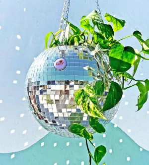 Peach Pops Party in your Plants Disco Hanging Plant Pot