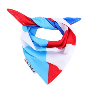 PeErre Reversible Cool-Down Bandana | Adventure Proof CoolCanine