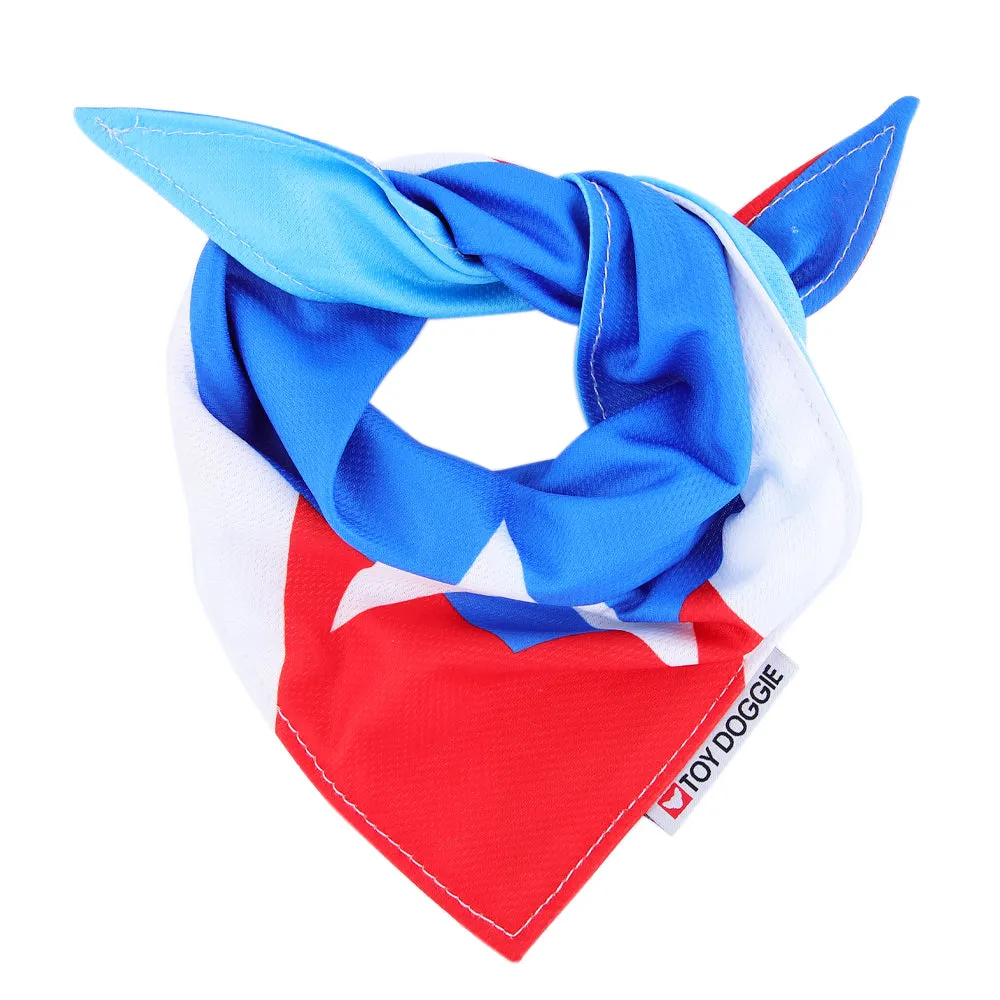 PeErre Reversible Cool-Down Bandana | Adventure Proof CoolCanine