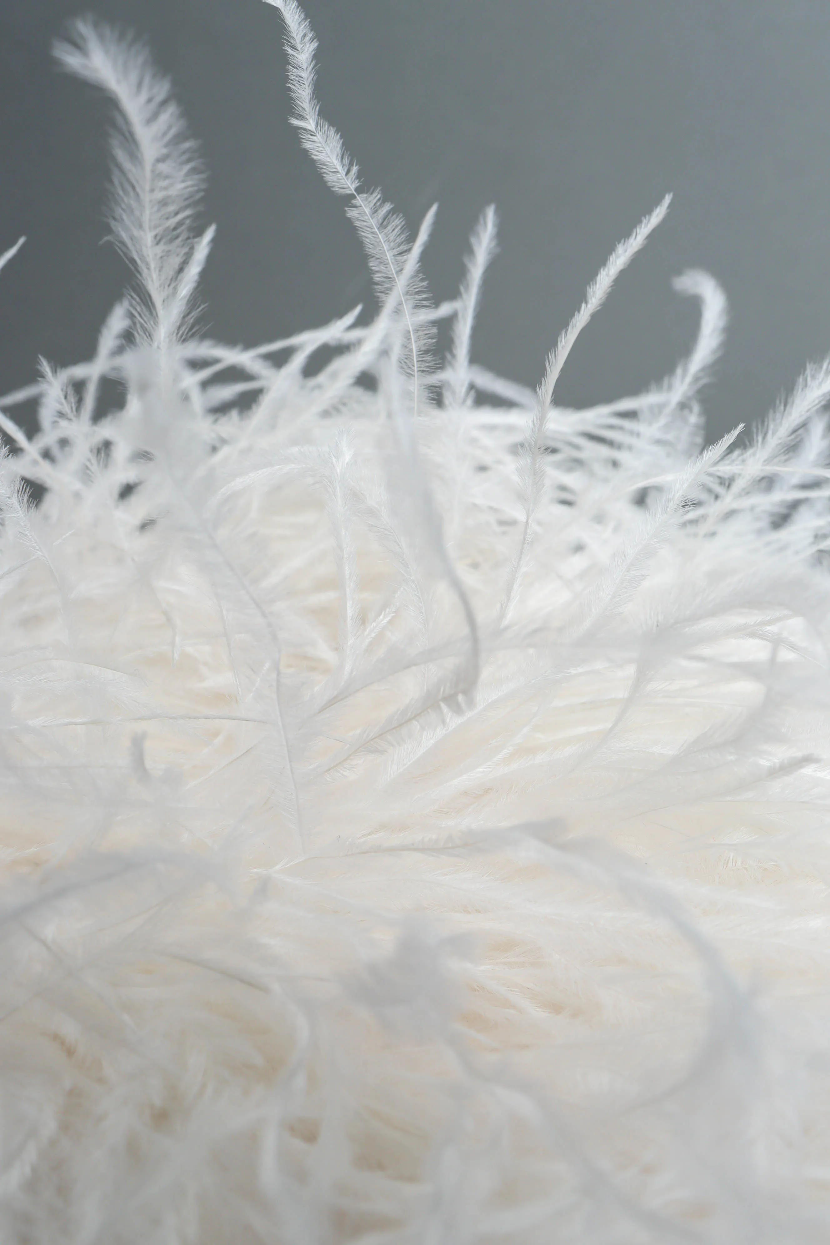 Tassel & Feather Pouch Bag