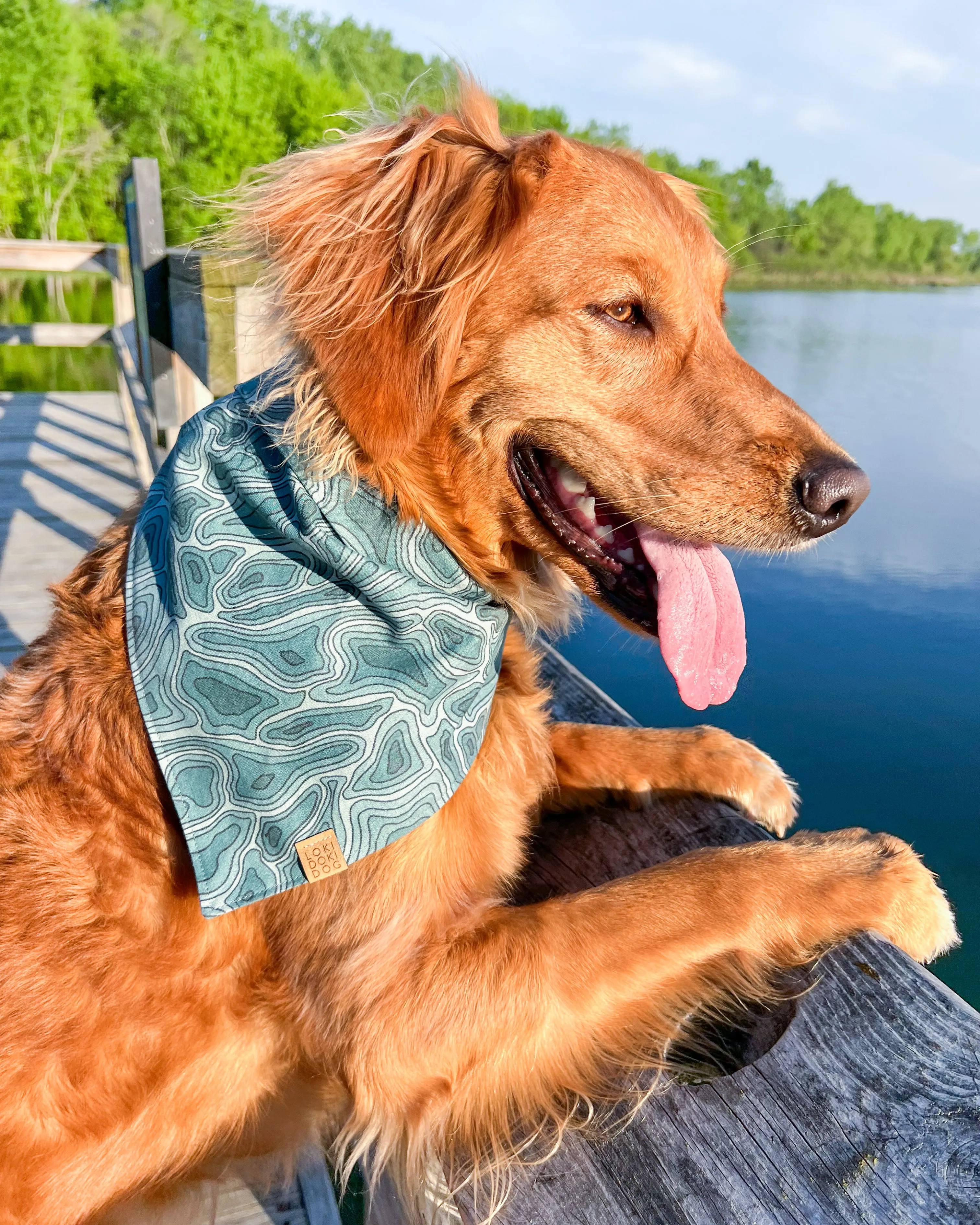 Terrain Dog Bandana