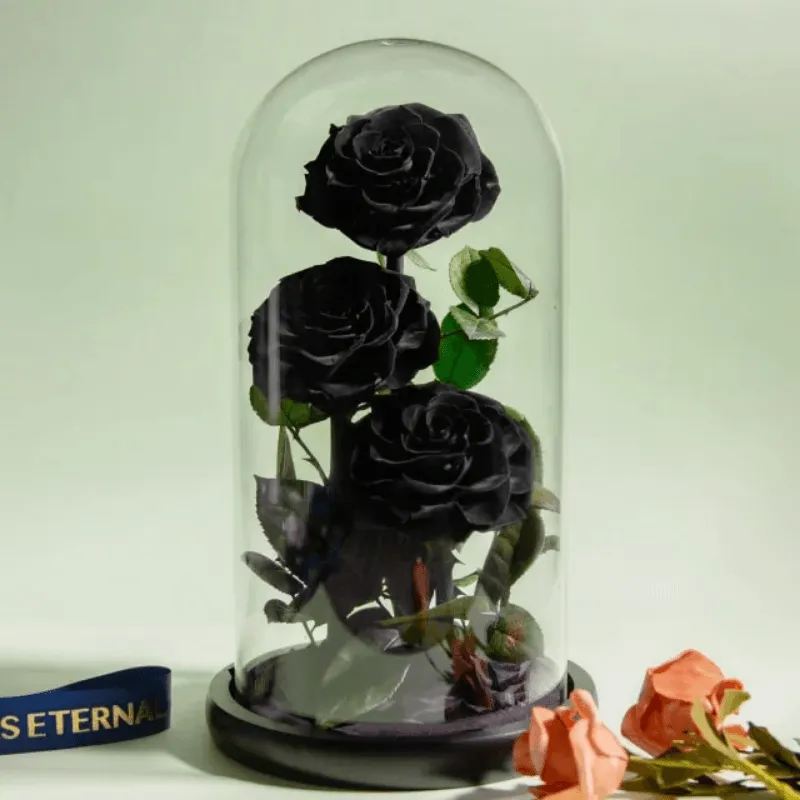 Three-Headed Rose Dome – Elegant Gift For Any Occasion