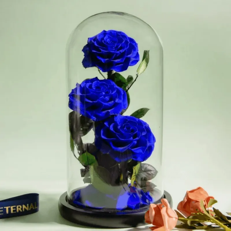 Three-Headed Rose Dome – Elegant Gift For Any Occasion
