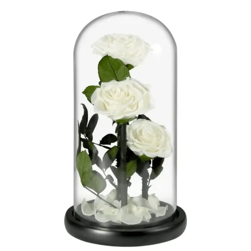 Three-Headed Rose Dome – Elegant Gift For Any Occasion
