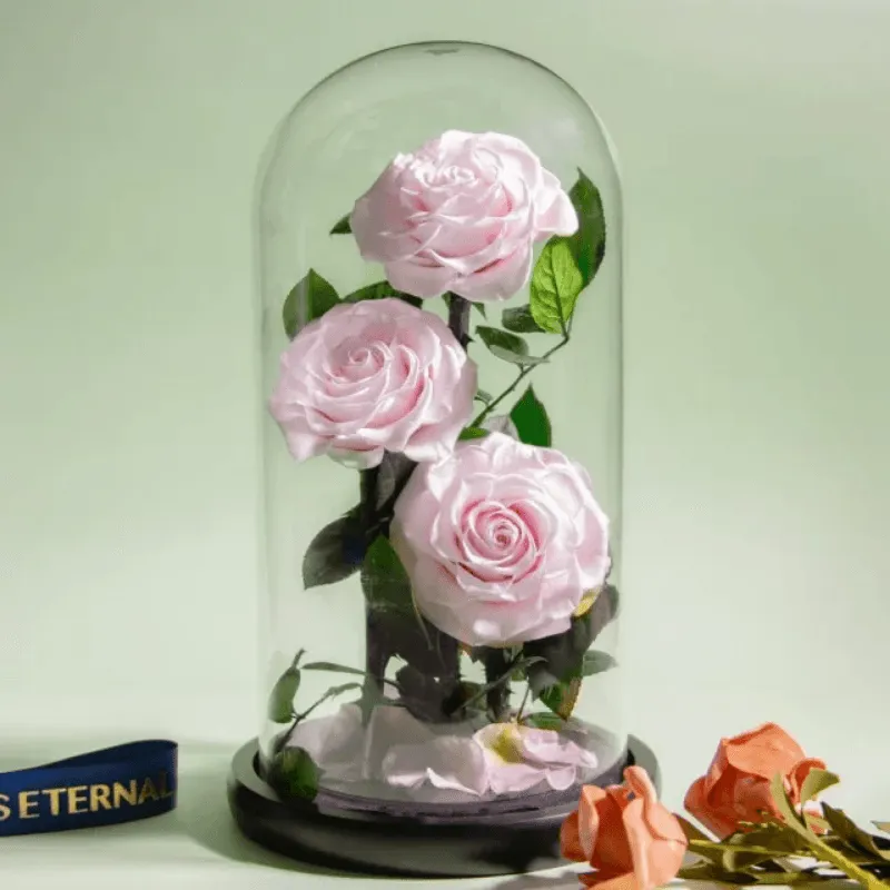 Three-Headed Rose Dome – Elegant Gift For Any Occasion