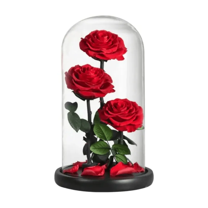 Three-Headed Rose Dome – Elegant Gift For Any Occasion