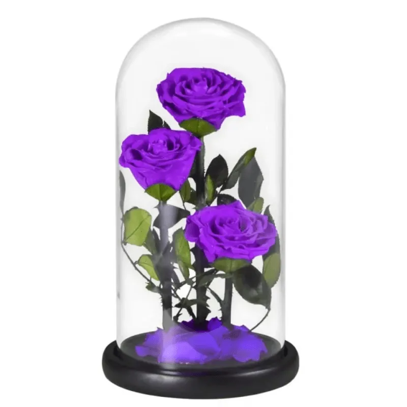 Three-Headed Rose Dome – Elegant Gift For Any Occasion