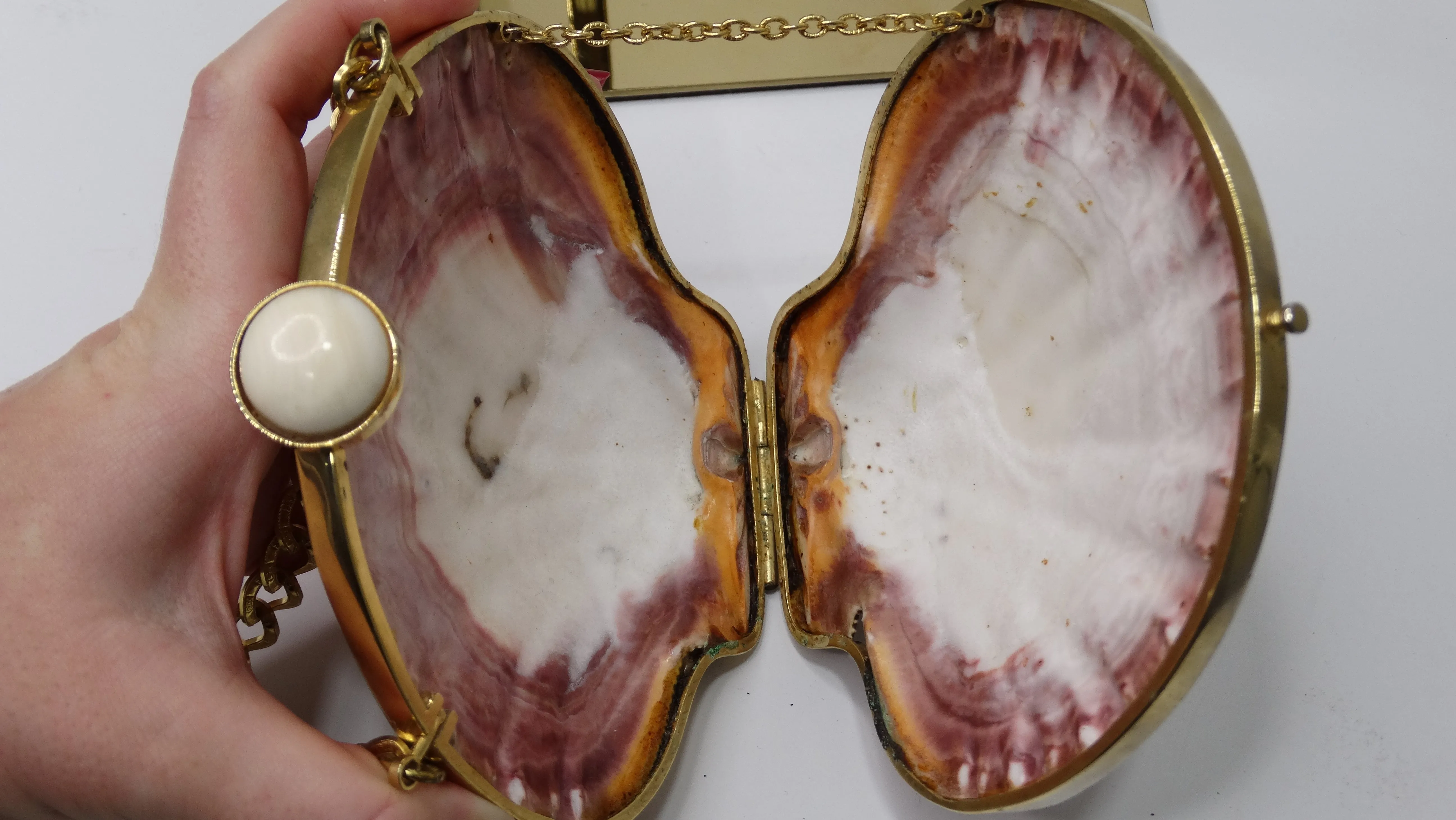 Vintage Clam Seashell Evening Bag