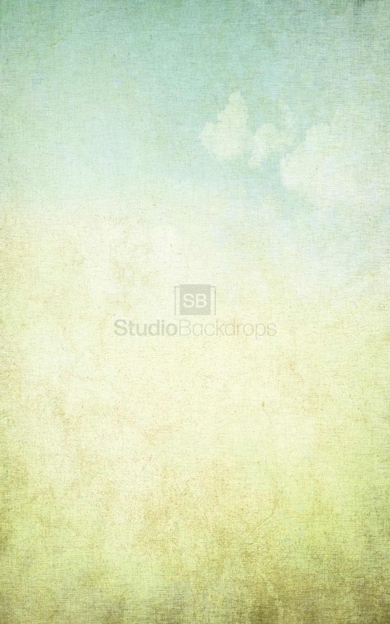 Vintage Sky Photography Backdrop BD-193-VIN