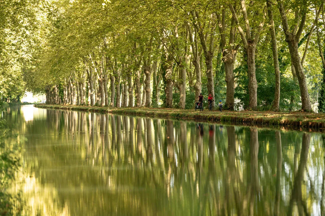 VÉLO TOUT CHEMIN RIVERSIDE 500 VERT D'EAU