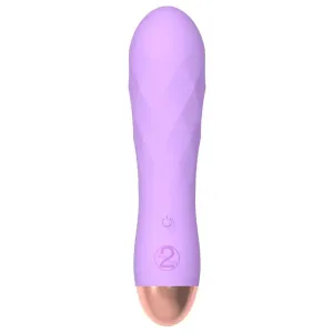 You2toys Silicone Purple Multi-speed Rechargeable Mini Bullet Vibrator